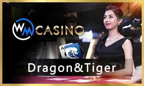 jl e4300 Live Casino